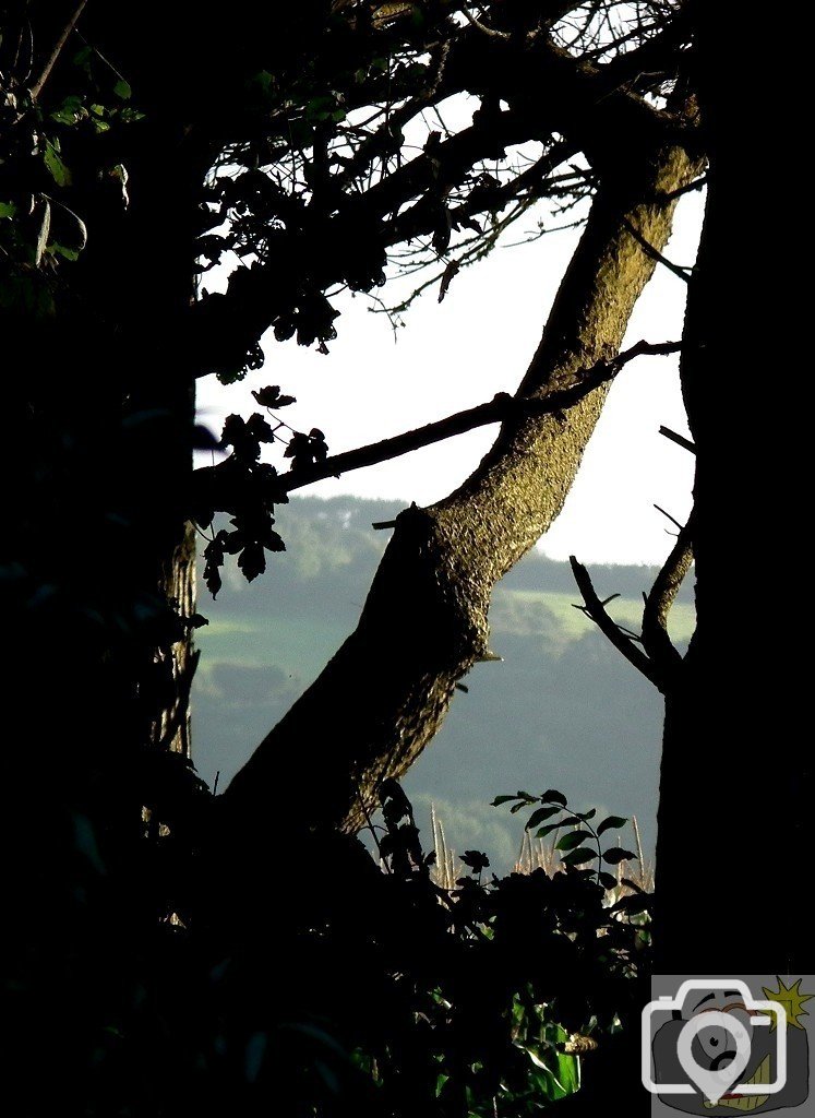 Pleasant View - 01