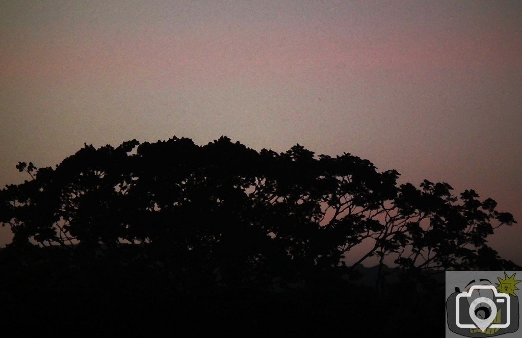 Pleasant View - 07
