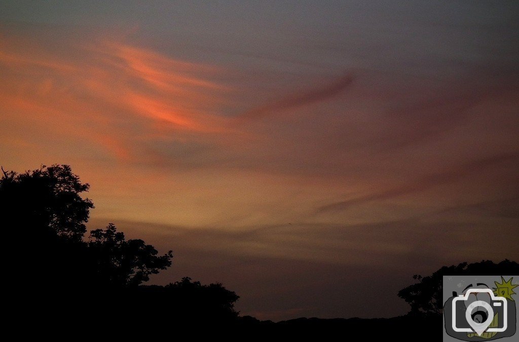 Pleasant View - 14