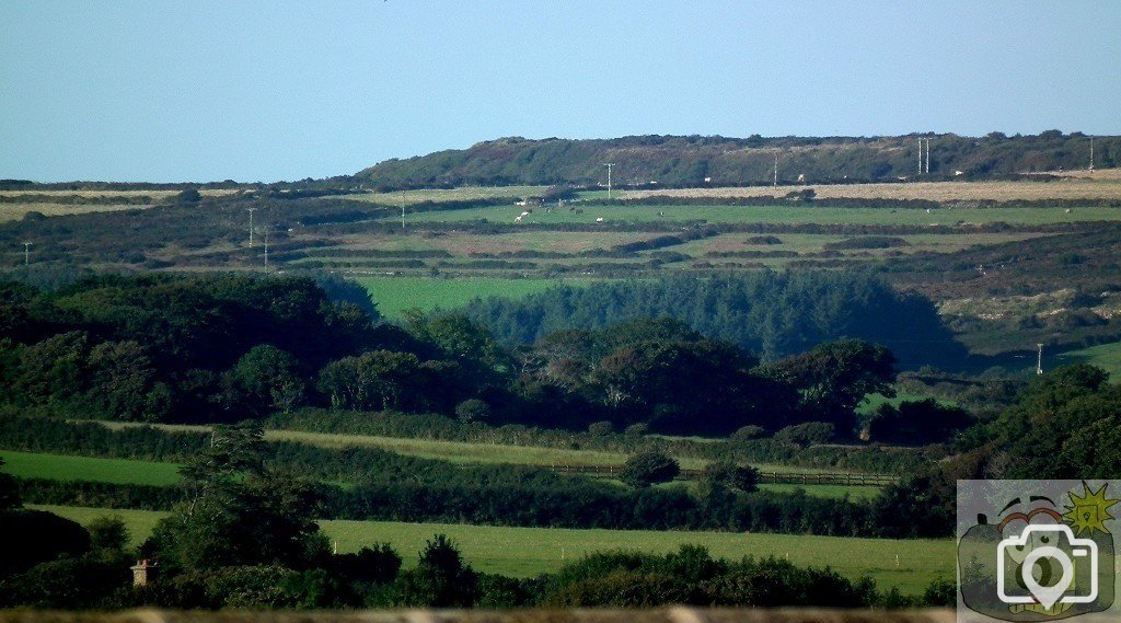 Pleasant View - 18