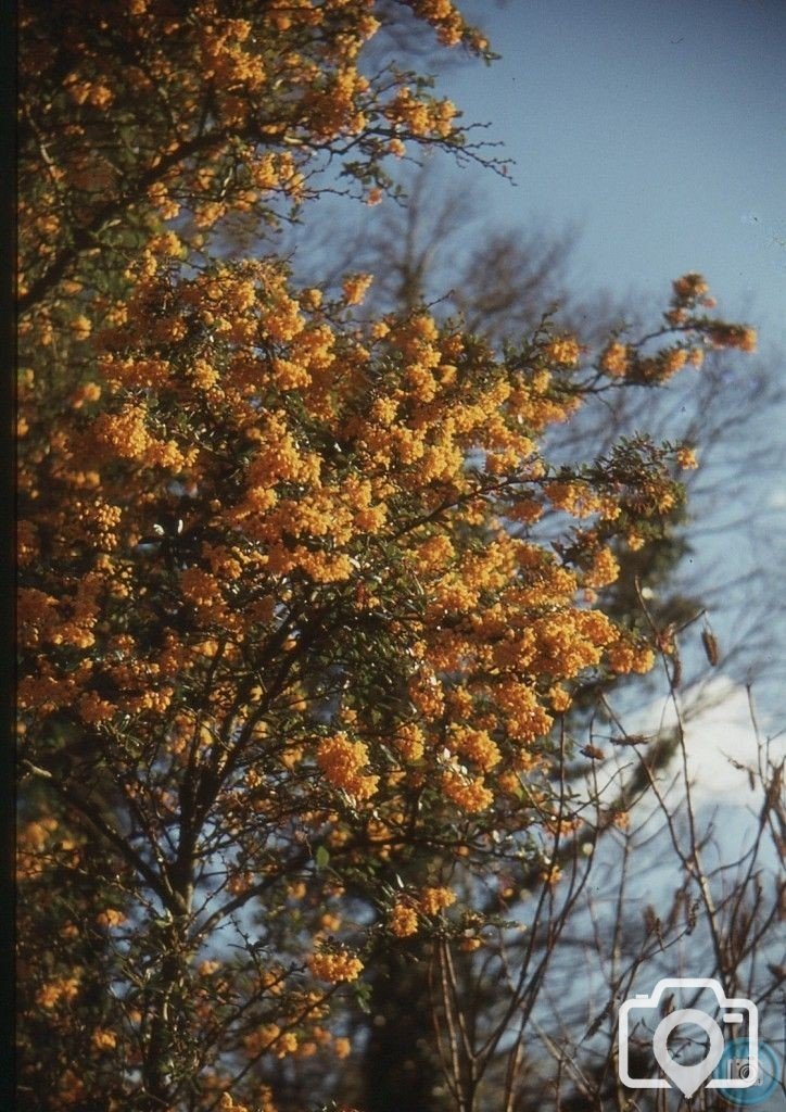 Spotnik 2