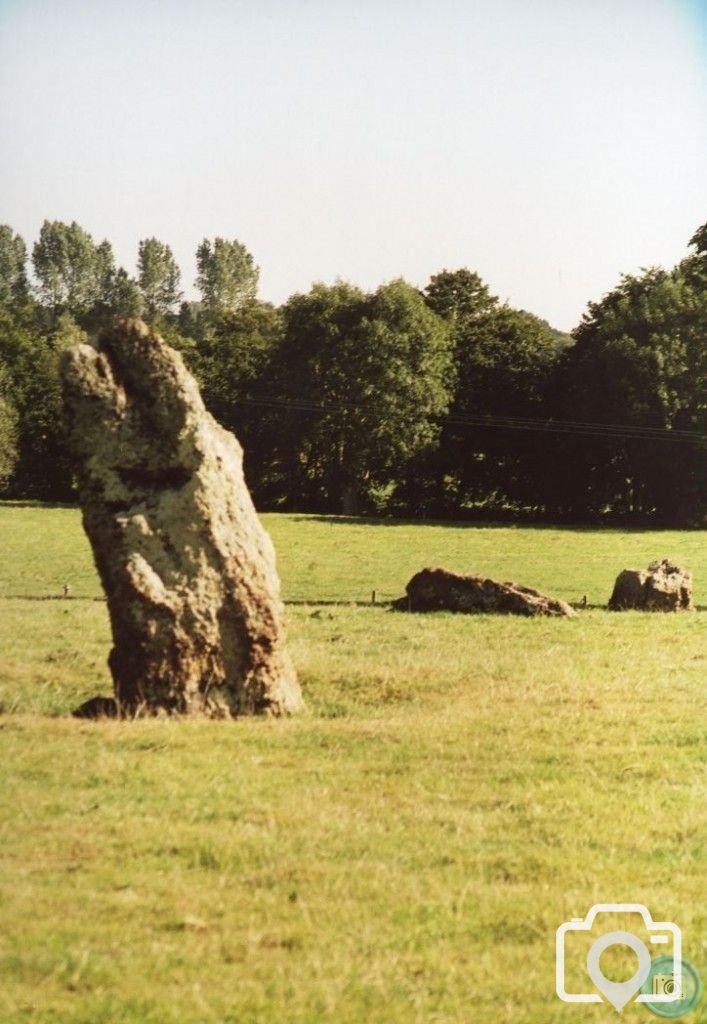 Staunton Drew