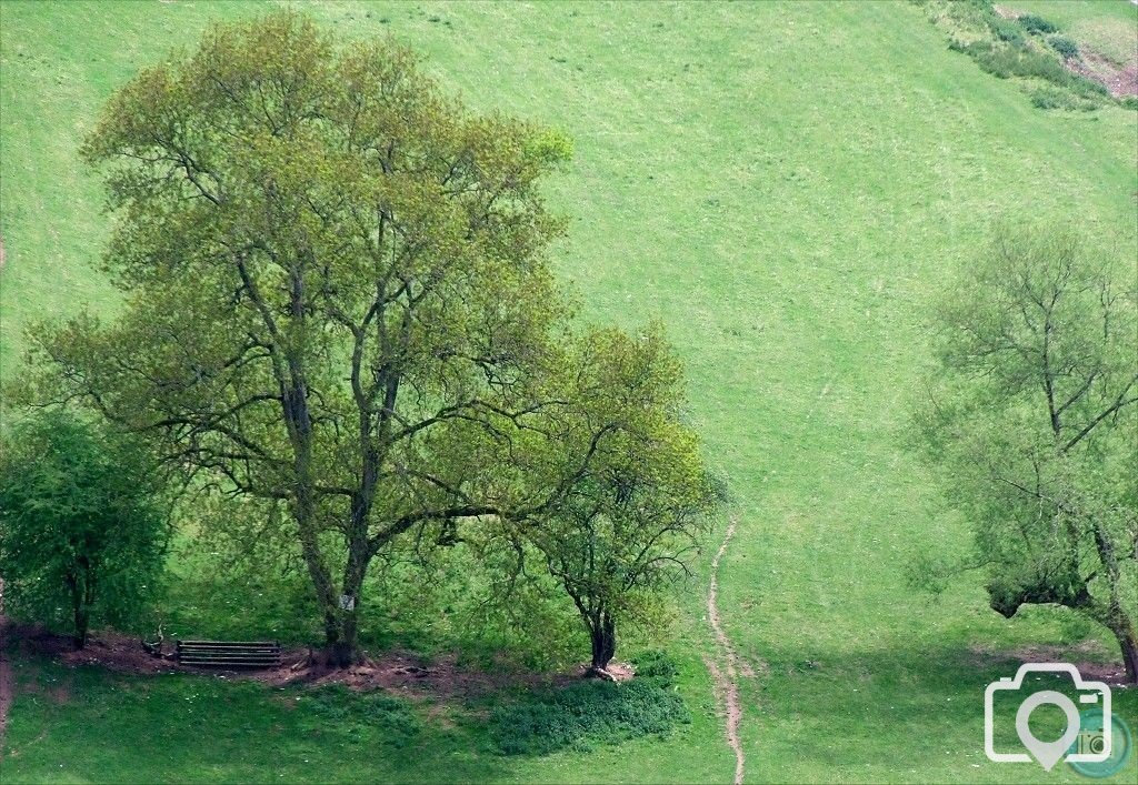 Symonds Yat - 3