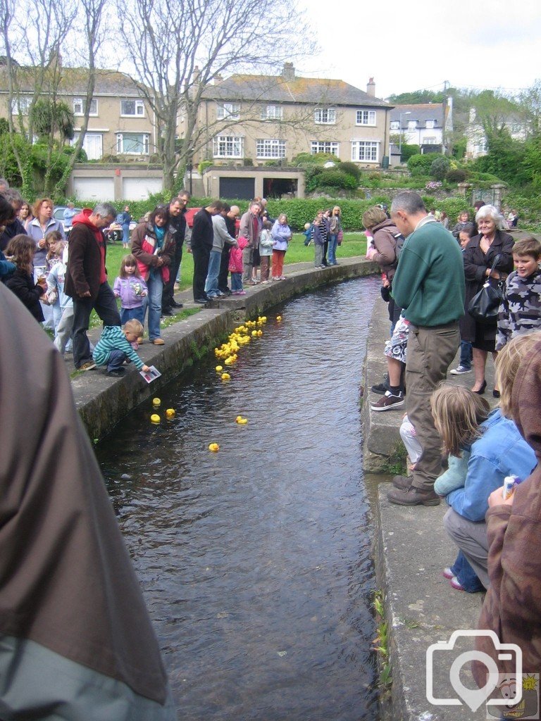 The annual duck race