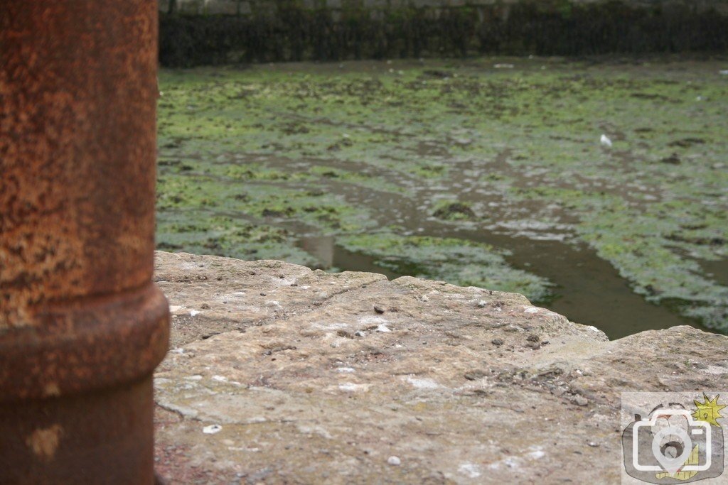 The return of the tide