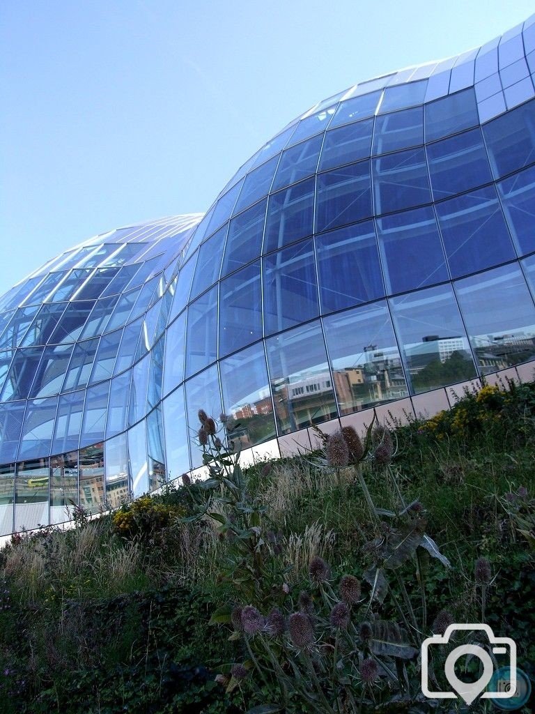 The Sage - 2