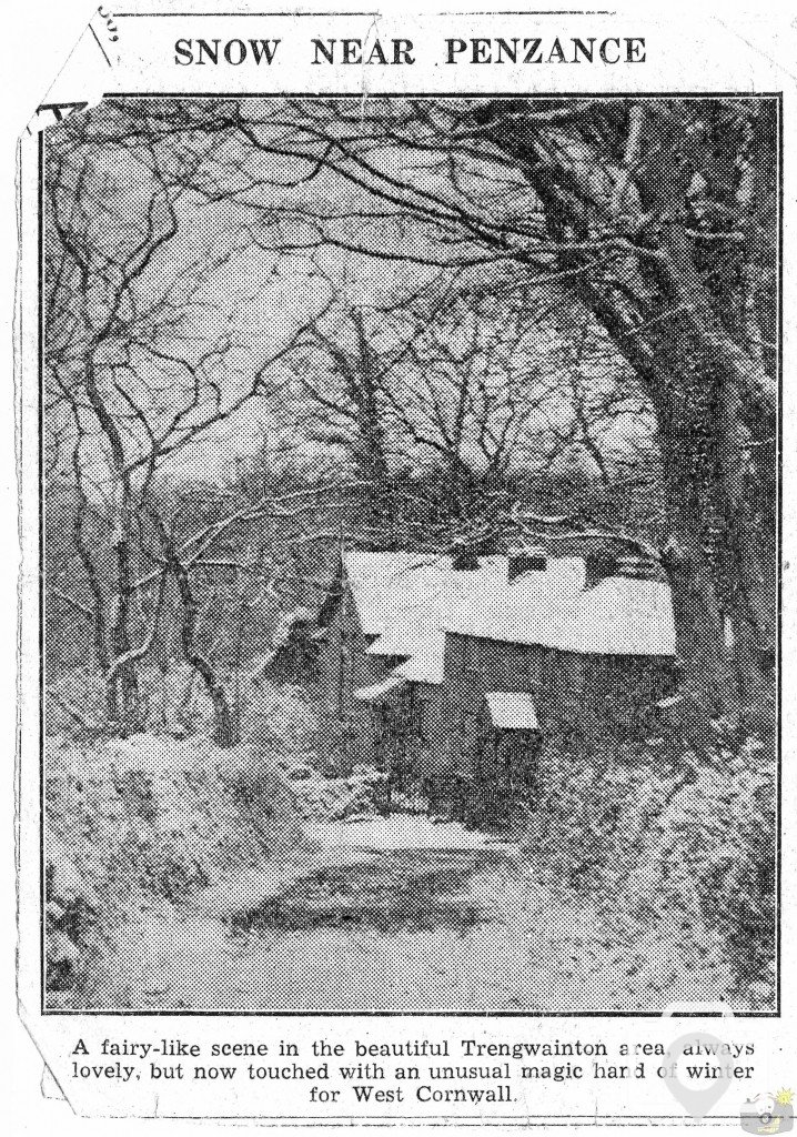 The Snows of 1947 - Trengwainton