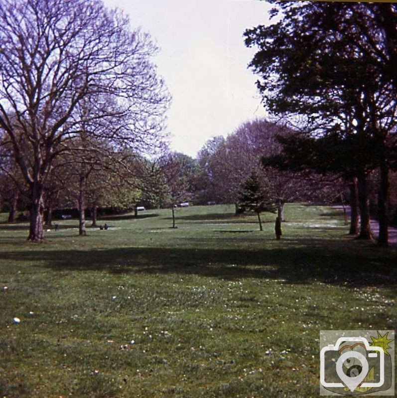 View up through Penlee Park, March 1977