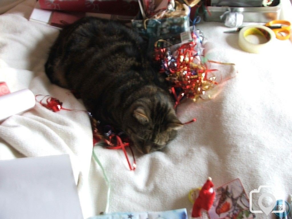 Wrapping stuff is just exhausting...